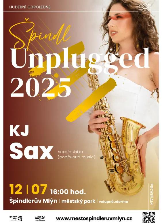 spindl-unplugged-vol-3-2025""