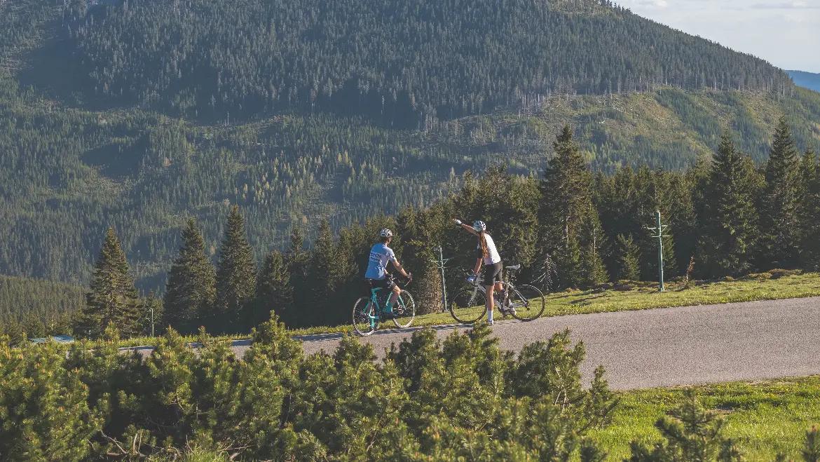 Bike rentals