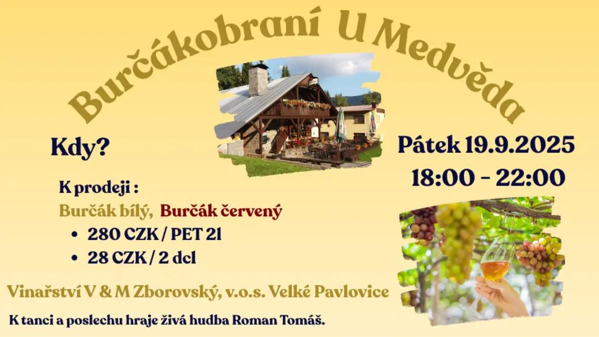 Chłopiec niedźwiedzia