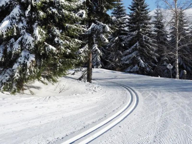 Turistické běžecké tratě - Pláň