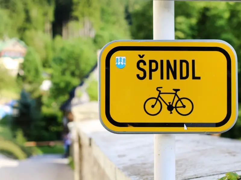 Cycle path for children | Ride for animals - extended