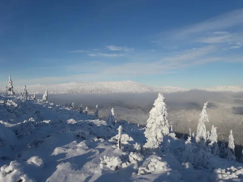 Skialpová trasa od Medvědího Kolene