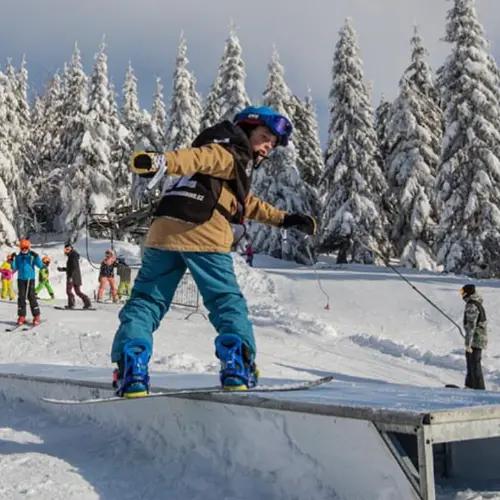 Snowparky
