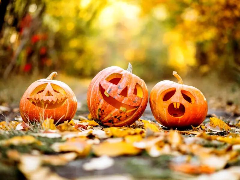 Halloween in Medvědín