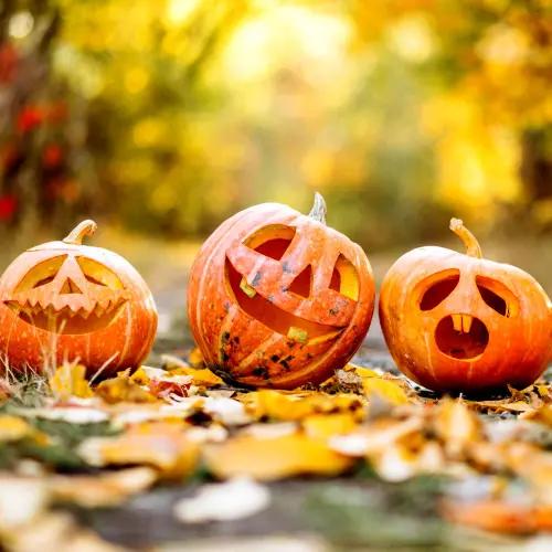 Halloween in Medvědín