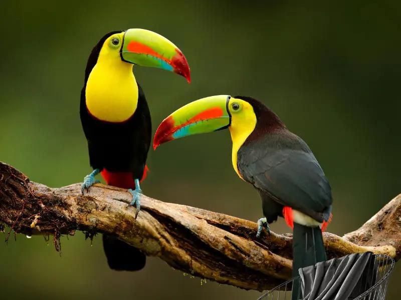 Chat with the hotelier