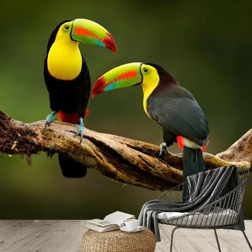 Jak TUKONI zachránili strom