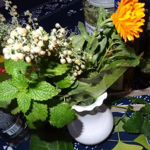 Medicína z Malého Tibetu