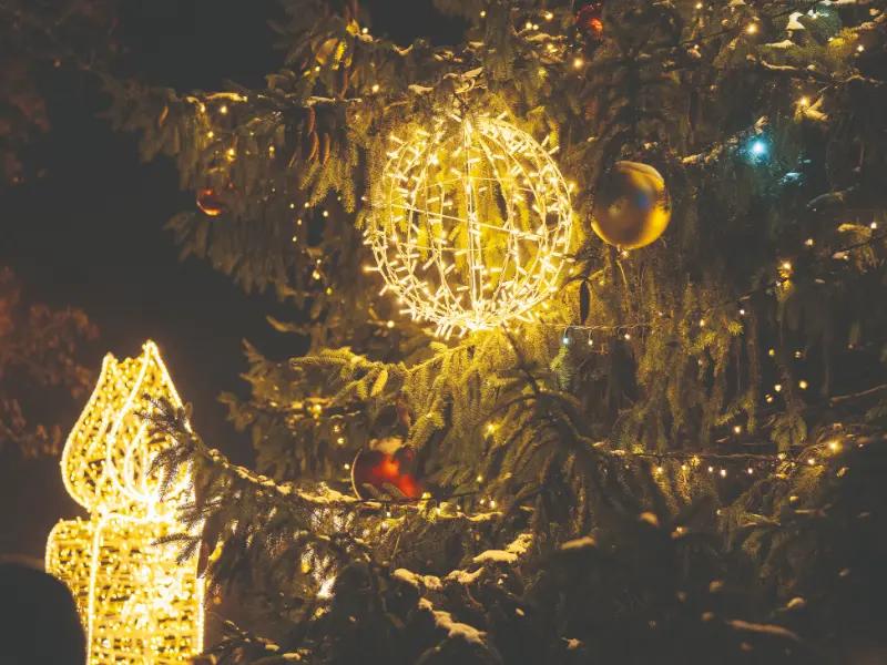 Lighting the Christmas tree