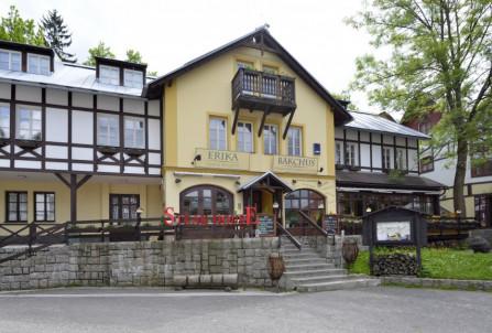 Hotel Erika