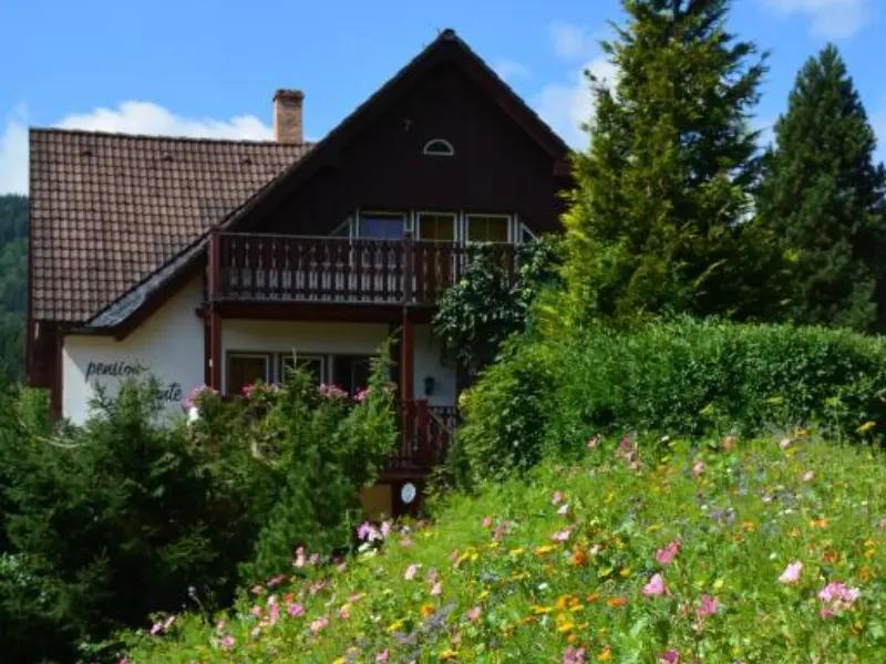 Lomnice Hotel & Restaurant