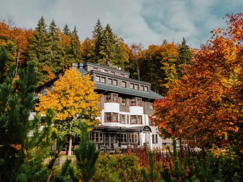 Hotel Soyka