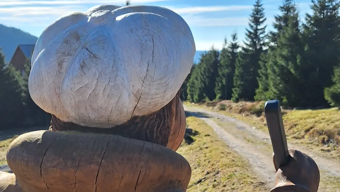 Sanie w Szpindlerowym Młynie