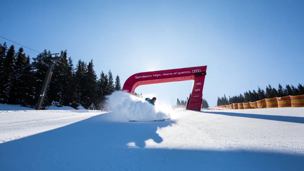 Gopass-Saisontrophäe