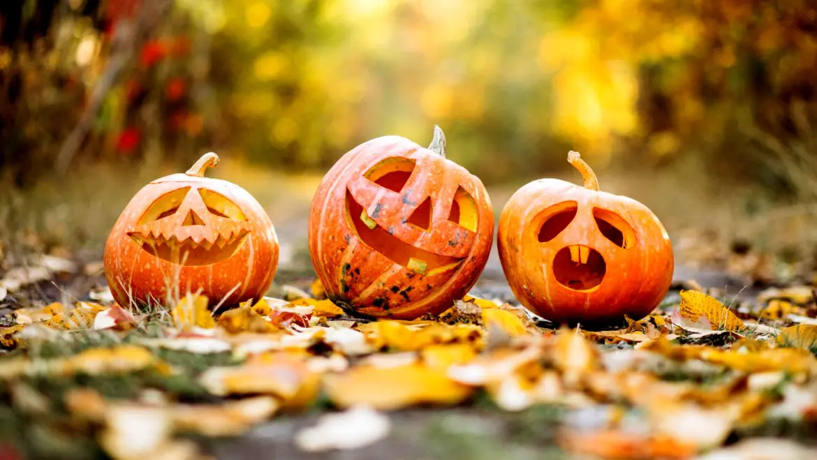Halloween in Medvědín